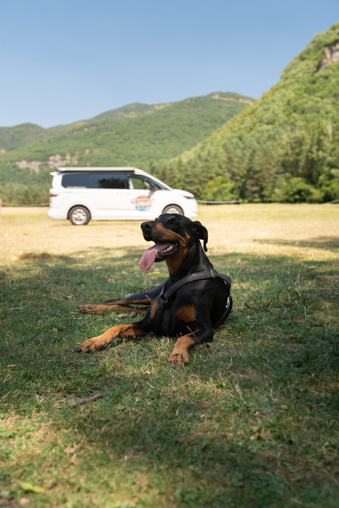 Camper van en Dénia